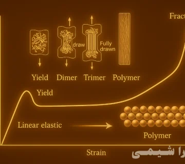Mechanical behavior of polymers showing elastic, plastic, and viscoelastic response