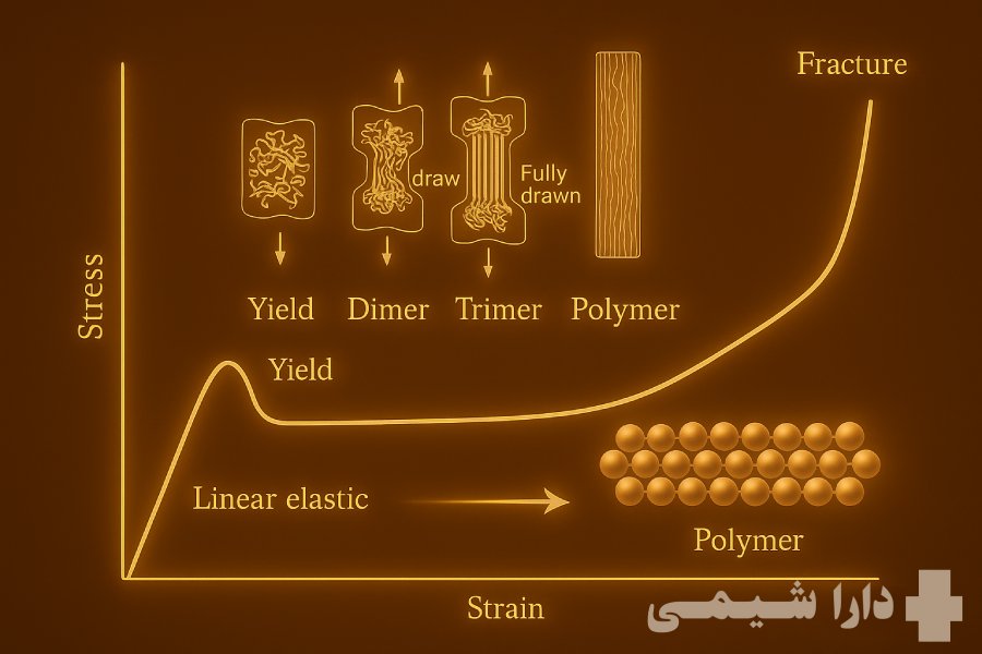 Mechanical behavior of polymers showing elastic, plastic, and viscoelastic response
